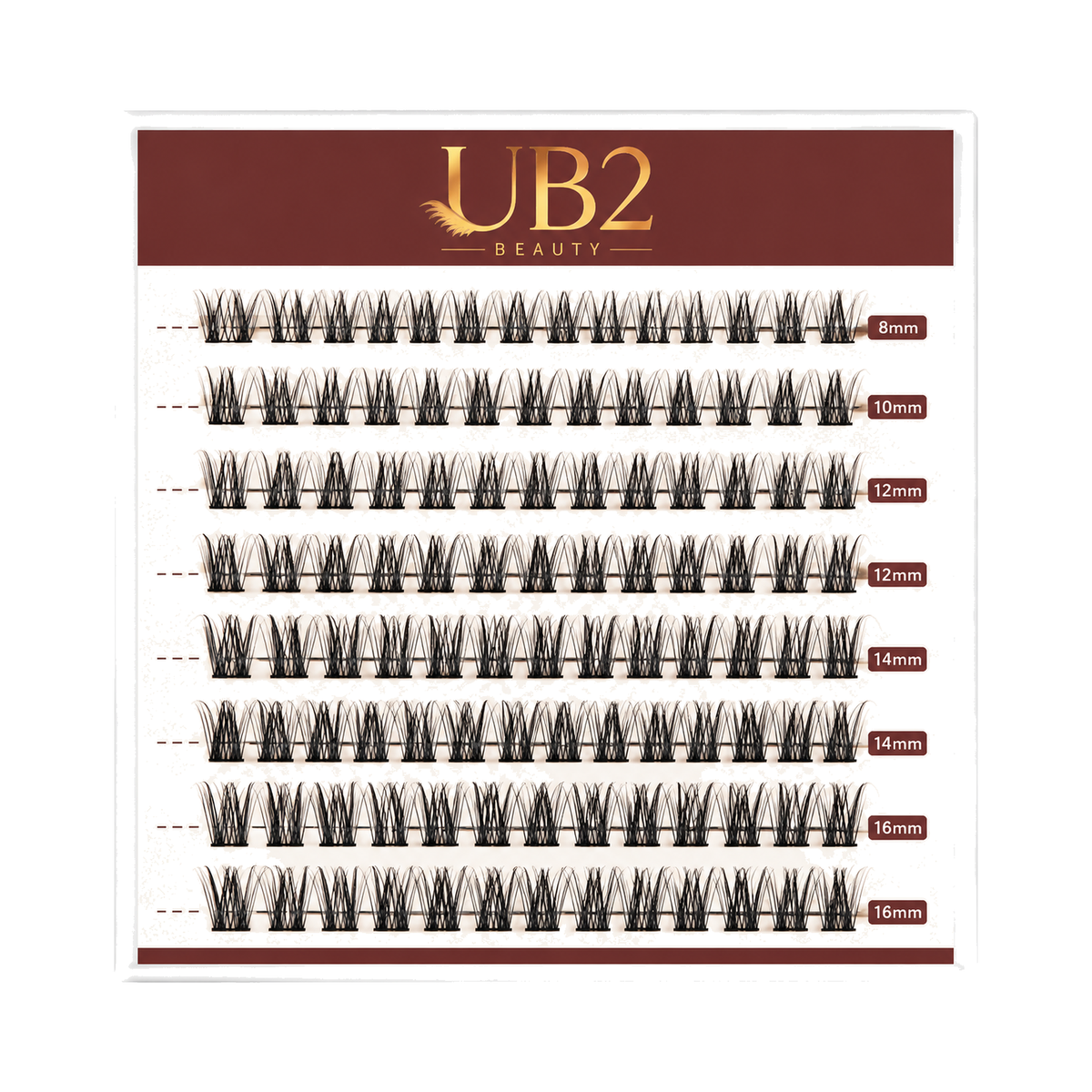 LS-003-08-B lash product standardized main image