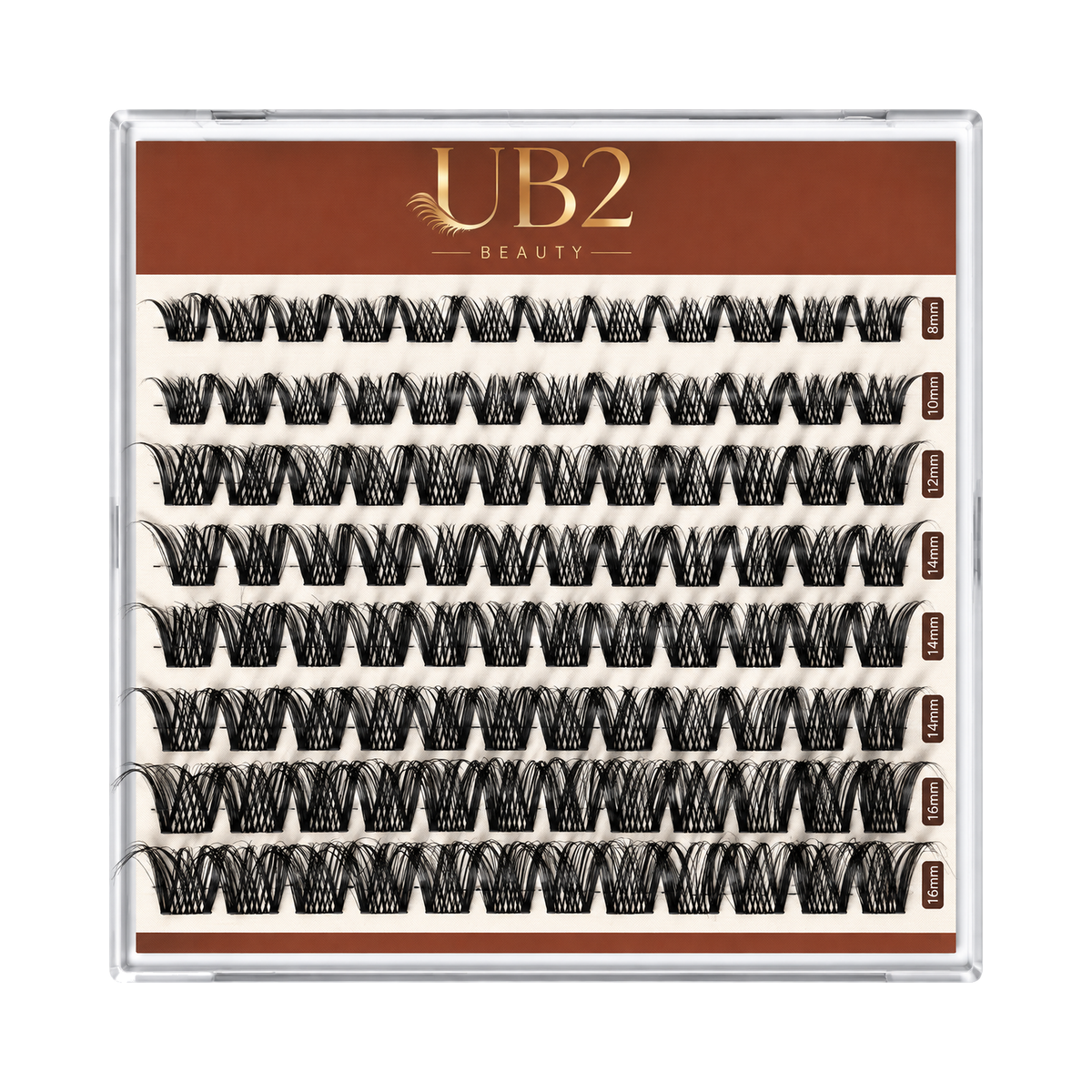 LS-005-08-B lash product standardized main image