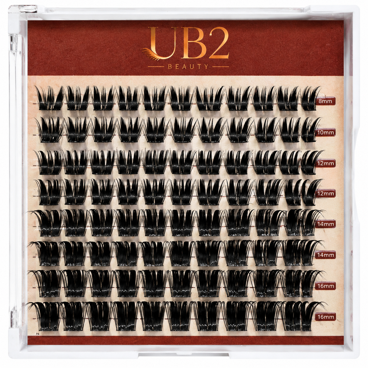 Doll-Eye Volume lash clusters 8-16mm in a 8-row tray