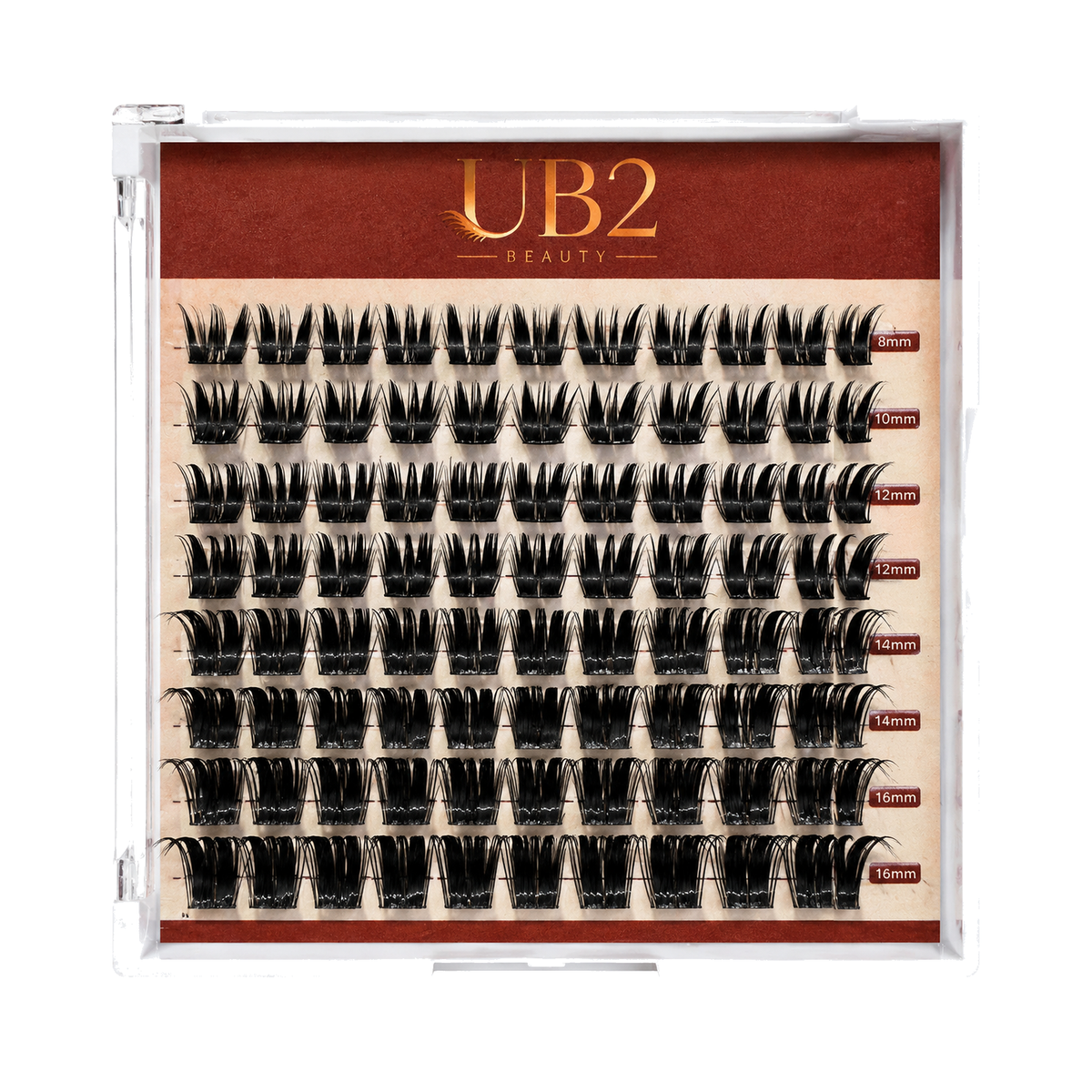LS-006-08-B lash product standardized main image