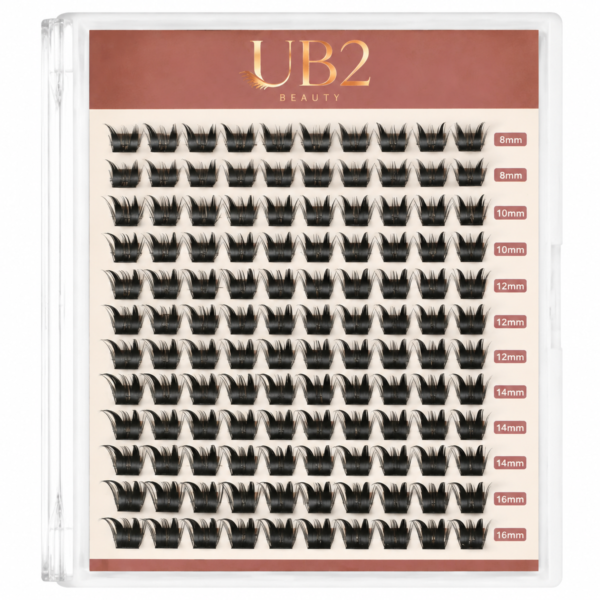 Doll-Eye Volume lash clusters 8-16mm in a 12-row tray