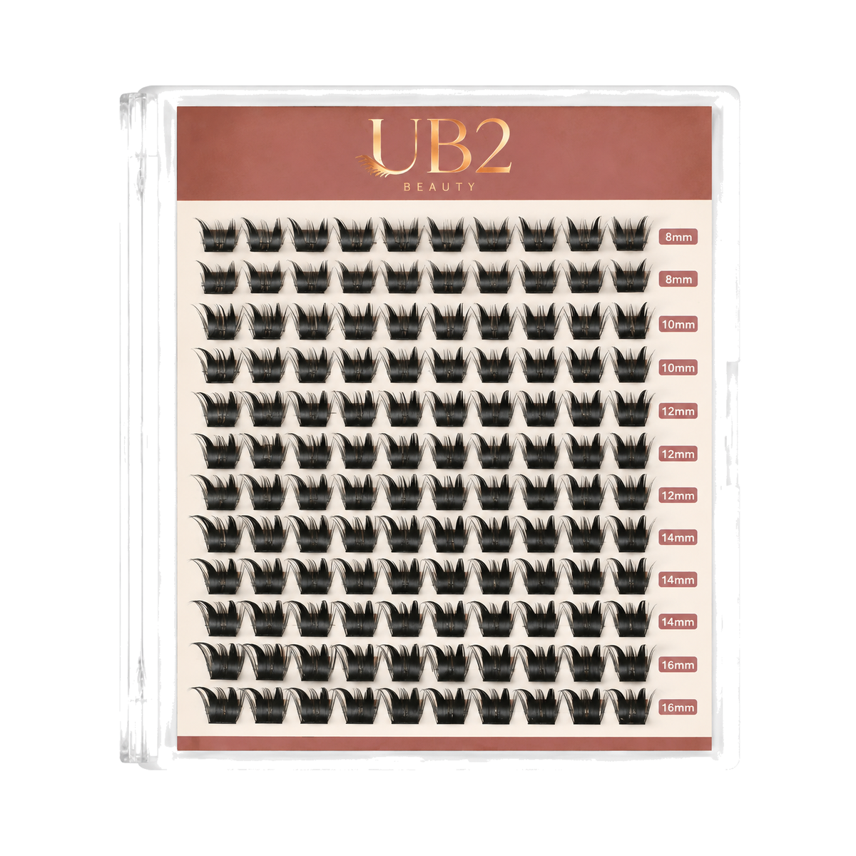 LS-006-12-B lash product standardized main image